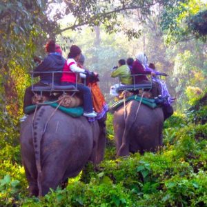 DOOARS LAVA TOUR PACKAGE