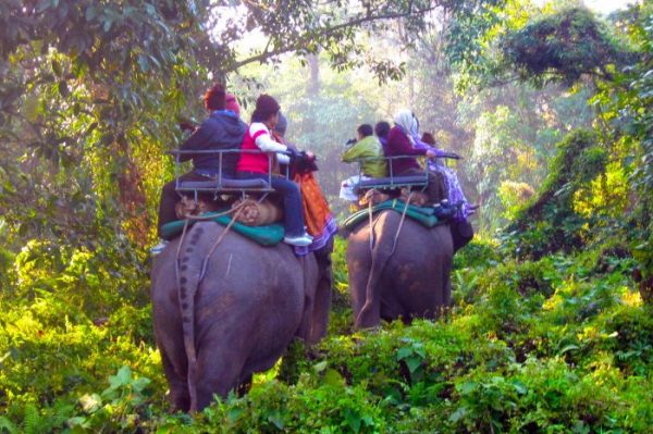 DOOARS LAVA TOUR PACKAGE